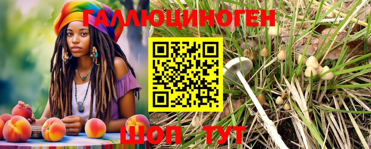 где купить наркоту  Галлюциногенные грибы MAGIC MUSHROOMS  Псилоцибиновые грибы мухоморы  Вход с VPN  Грозный 